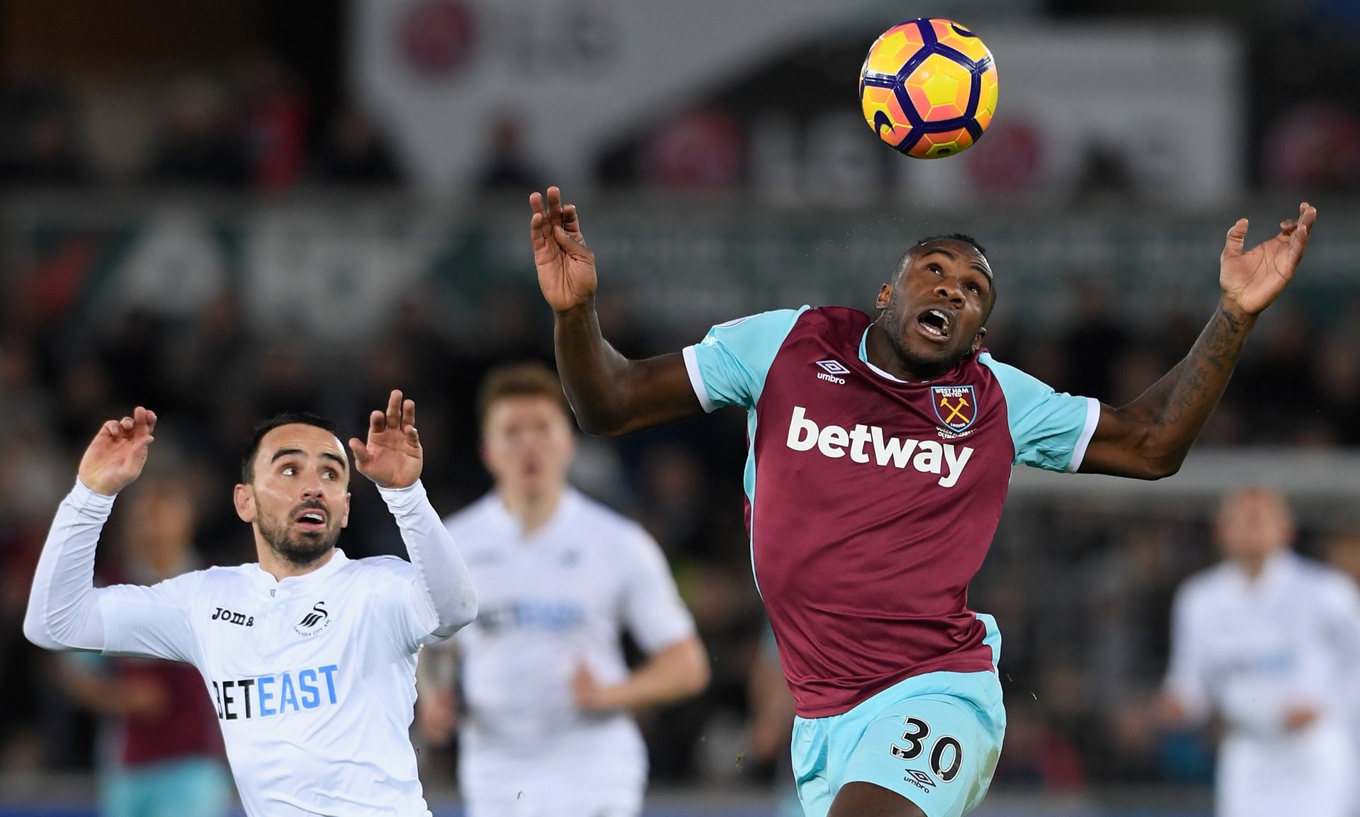 养更多张之 养更多张之